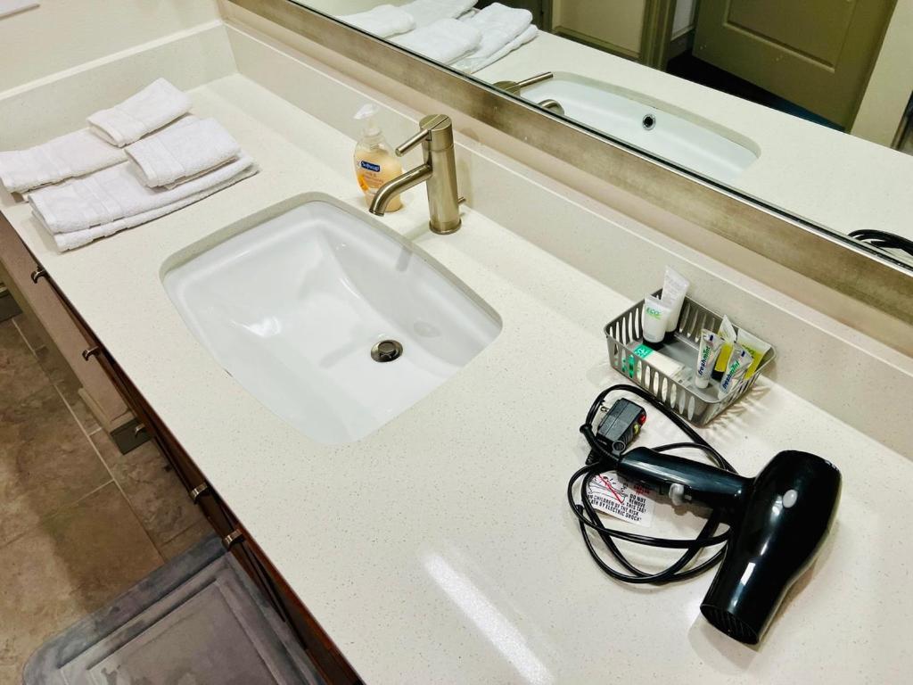 Appartamento Downtown Apart 1 Bed 1 Bath Free Parking Houston Esterno foto