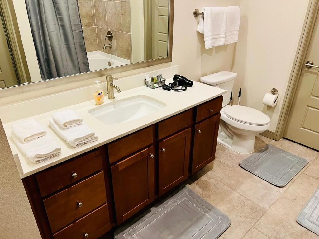 Appartamento Downtown Apart 1 Bed 1 Bath Free Parking Houston Esterno foto